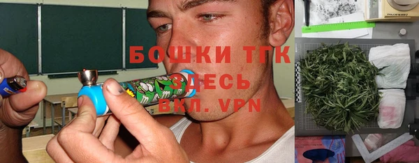mix Бородино