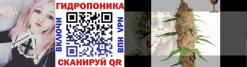 Бошки марихуана Amnesia  Новомичуринск 